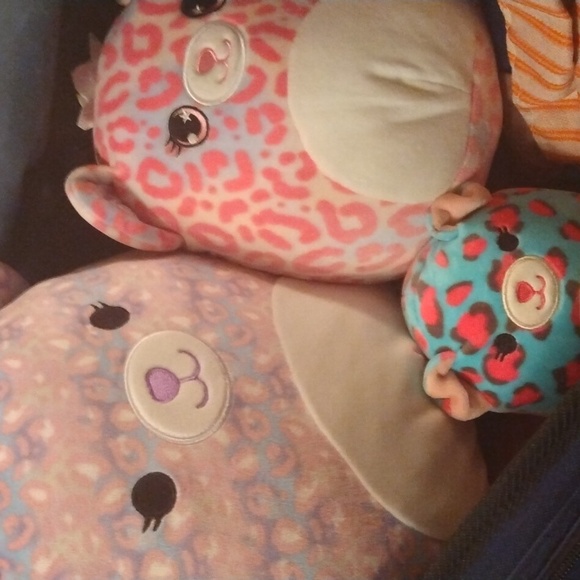 Dallas 12 "+Brandi mystery  bag 7.5"+Chelsea Cheetah 5" squishmallow New - Picture 17 of 17